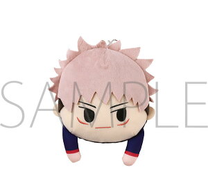 yVizp pXP[X ՏIm WvtFX^2021 JF