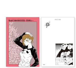 p G|XgJ[hRNV 38b BKN p_ ɃJ p ObY |XgJ[h