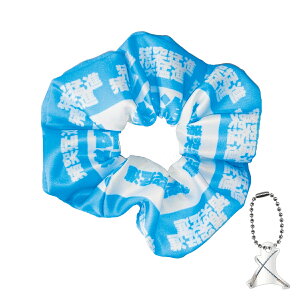 yVizSł̐n VV {ɔV AN`[t