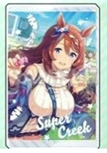 E} veB[_[r[ LEANL[z_[ X[p[N[N