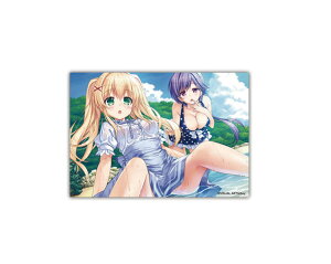 �� ���F���_�[�X ���D �Ëv �u���}�C�h �����R�� Summer Pockets REFLECTION BLUE �u���}�C�h���� �u���}�C�h�� �≖�u���}�C�h 2L�� 14