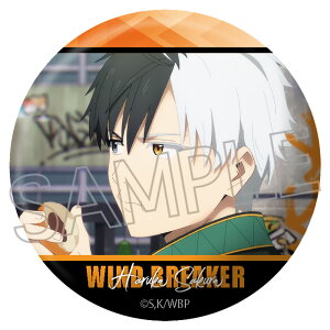 WIND BREAKER SʑʃobW y