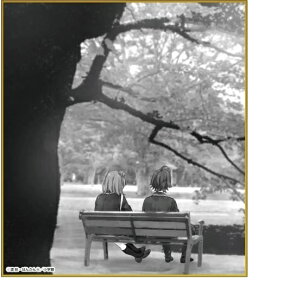 ͂艴̐tuR͂܂ĂB g[fBO~jF 1e R䃖l߁J A