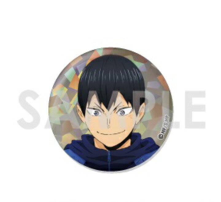 楽天市場】ハイキュー!! トレーディングホログラム缶バッジ One Fine  