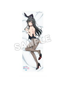 ͂艴̐tuR͂܂ĂB g[fBOOʃobW vol.1 m T oj[ ʃobW ObY