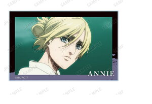 i̋l g[fBOʎʃANJ[h Vol.2 AjEIn[g