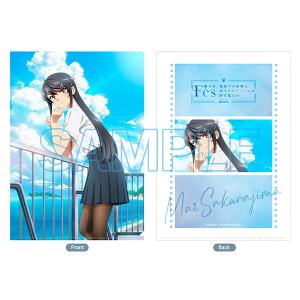 tu^Y̓JtAo̖Ȃ A4NAt@B  ObY u^