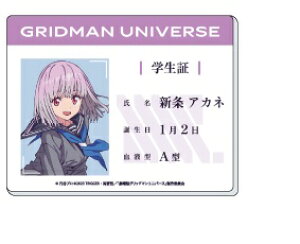 Obh}jo[X ANJ[h 09.Z[[ver.(`낵CXg) VAJl GRIDMAN UNIVERSE ObY