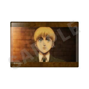 A~EAg i̋l g[fBOʃobW B i ObY