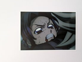 胡蝶しのぶ 劇場版 鬼滅の刃 無限城編 第1章 コラボカフェ 第二期 場面写ブロマイドくじ その弐 鬼滅 グッズ ブロマイド ufotable 14