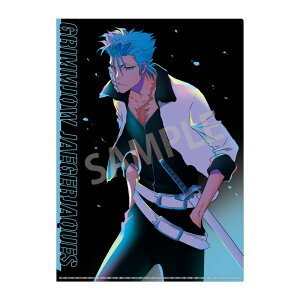BLEACH ��N����� A4�V���O���N���A�t�@�C�� �O�����W���[�E�W���K�[�W���b�N �J�~�A�jTOUCH �O�b�Y �u���[�` �N���A�t�@�C��