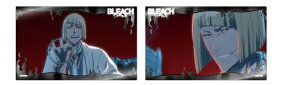 ���q�^�q BLEACH ��N����� �N���A�J�[�h�R���N�V���� �u���[�` �O�b�Y �N���A�J�[�h �J�[�h 2������