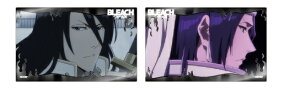 ���ؔ��� BLEACH ��N����� �N���A�J�[�h�R���N�V���� �u���[�` �O�b�Y �N���A�J�[�h �J�[�h 2������