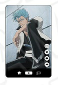 �O�����W���[ BLEACH ��N����� �R���N�V�����J�[�h �u���[�` �O�b�Y �J�[�h �O�����W���[�E�W���K�[�W���b�N