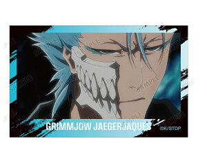 �O�����W���[�E�W���K�[�W���b�N BLEACH ��N����� �g���[�f�B���O ��ʎʃC���X�g�J�[�h �u���[�` �O�b�Y �J�[�h