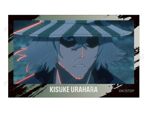 �Y���쏕 BLEACH ��N����� �g���[�f�B���O ��ʎʃC���X�g�J�[�h �u���[�` �O�b�Y �J�[�h