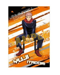 p T}[tFA in AjCg T |XgJ[h ՏIm