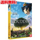 楽天市場 大人アニメ作品 アニメdvd専門店 アニメストア