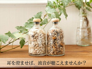 �{�g�������ς��ɋl�ߍ��񂾓V�R�̏����Ȋ����L�ybottle-shell�z�{�g���V�F�� �u���E��&�i�`������ 2�{�Z�b�g