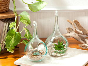 lC̃{^jJCeAAWAɂăoKXnMOeE/L