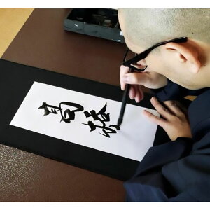 Ta̐^M \D {Y ┒J `i20×10cmj [XguEi┒J΂800ŏĐFj FF_[NuE