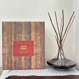 MODERN NOTES CRNV [hfBt[U[ fL^ 375mL XeBbNfBt[U[ fBt[U[ e Mtg v[g