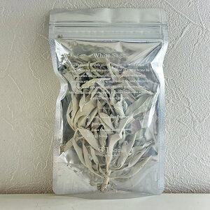 zCgZ[W 10g Ȃn[u JtHjAY VR_ 