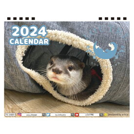 【予約販売】 ルートル京都店のカワウソ 2024年 卓上 カレンダー TC24113