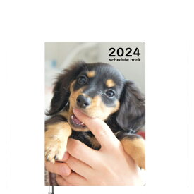 【予約販売】 ミニチュアダックス犬 まんぷくのオケッツ 2024年 A5 スケジュール帳 AF24169