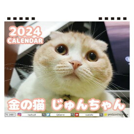 【予約販売】 金の猫 じゅんちゃん 犬と猫の親バカ日記 2024年 卓上 カレンダー TC24214