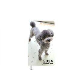【予約販売】 トイプードル犬 きゅうちゃん 犬と猫の親バカ日記 2024年 ポケット スケジュール帳 PO24218