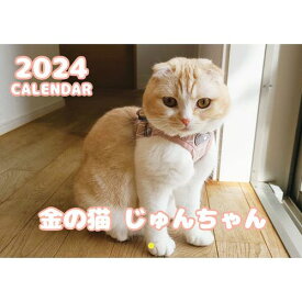 【予約販売】 金のじゅんちゃん 犬と猫の親バカ日記 2024年 壁掛け カレンダー KK24261