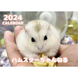 【予約販売】 ハムスターちゃんねる 2024年 壁掛け カレンダー KK24270