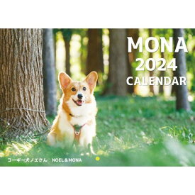 【予約販売】 コーギー犬 モナ 2024年 壁掛け カレンダー KK24294