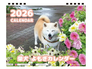 y\̔z Č̂ 2026N  J_[ TA26325