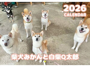 y\̔z Č݂񉀃t@~[ 2026N Ǌ| J_[ KA26326