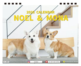 【予約販売】 ノエル&モナ コーギー 犬 2026年 卓上全面 カレンダー TA26334