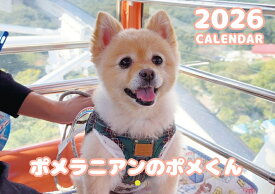 【予約販売】 ポメラニアンのポメくん 犬 2026年 壁掛け カレンダー KA26344