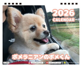 【予約販売】 ポメラニアンのポメくん 犬 2026年 卓上半面 カレンダー TA26345