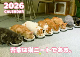 【予約販売】 吾輩は猫ニートである。 2026年 壁掛け カレンダー KA26347