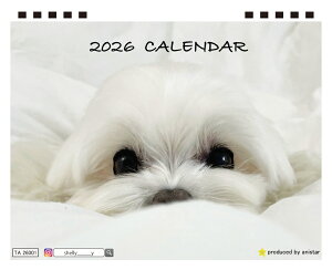 y\̔z VF[ }`[Y  2026N  J_[ TA26359