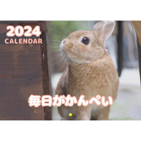 【予約販売】 うさぎの毎日がかんぺい 2024年 壁掛け カレンダー KK24036
