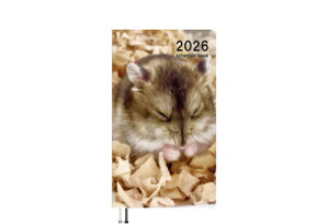 y\̔z nX^[˂ 2026N |PbgXPW[ PO26361