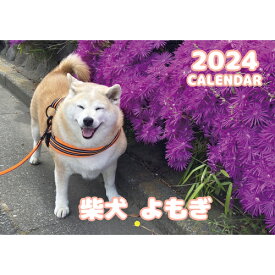 【予約販売】 柴犬のよもぎ 2024年 壁掛け カレンダー KK24067