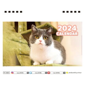 【予約販売】 猫のまる 2024年 卓上 カレンダー TC24073