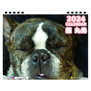 【予約販売】 パグと柴犬のラル＆アキ 2023年 壁掛けカレンダー KK23082