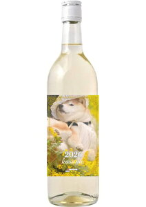 y\̔z Č J 2026N C WW001NN