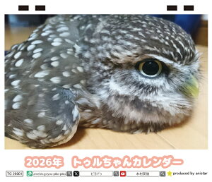 y\̔z ӂ낤̃gD 2026N J_[ TC26108