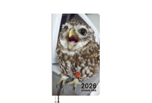 y\̔z ӂ낤̃gD 2026N |PbgXPW[ PO26110