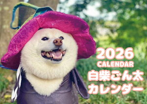 y\̔z Ă Č 2026N Ǌ| J_[ KA26012